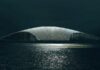Characteristic features of the architecture of tomorrow Characteristic features of the architecture of tomorrow