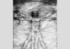 Vitruvian proportions