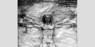 Vitruvian proportions