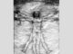 Vitruvian proportions