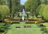 Garden city Welwyn Garden City