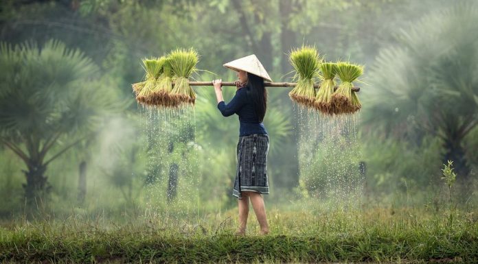 Vietnam