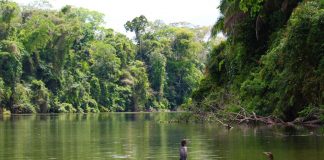 Amazon river