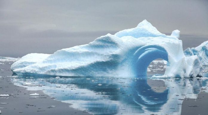Antarctica