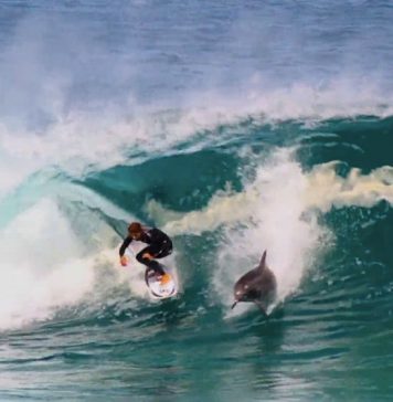 Surf on the Superbank Surf on the Superbank