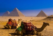 Tours to Egypt