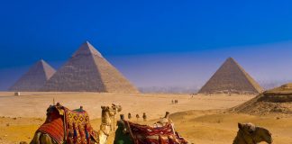 Tours to Egypt