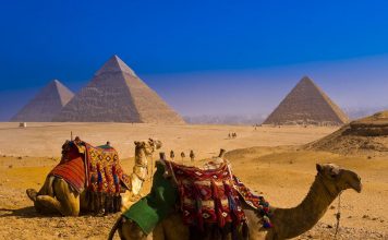 Tours to Egypt