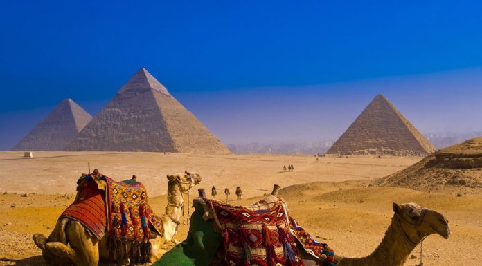 Tours to Egypt