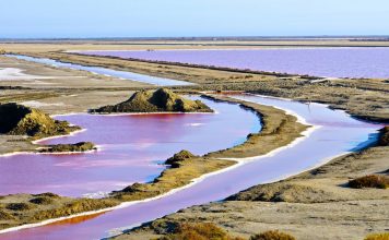 Camargue