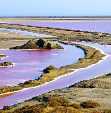BEST OF FRANCE Camargue
