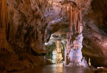 Postojna caves