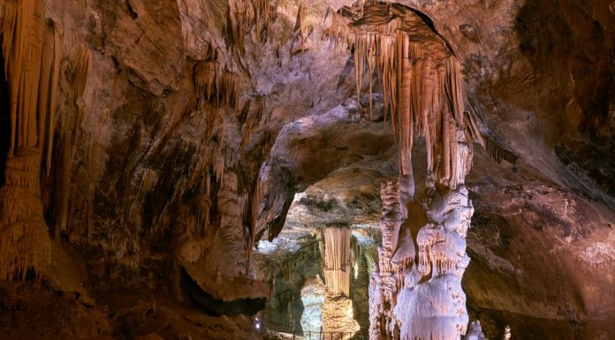 Slovenia Postojna caves