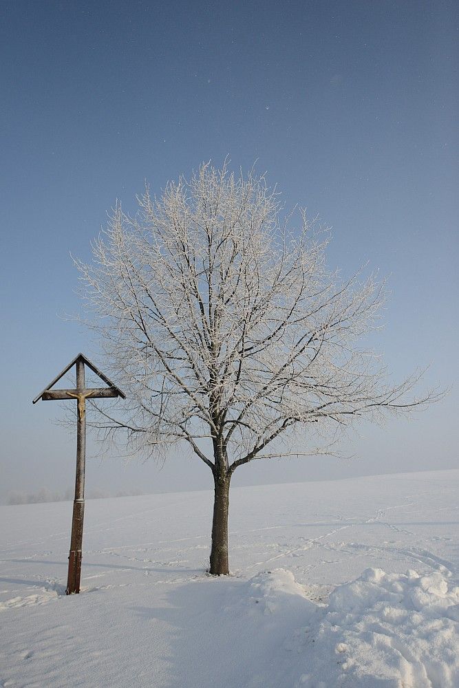 Зимняя красота