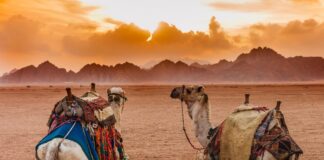 Курорт Шарм-Эль-Шейх
