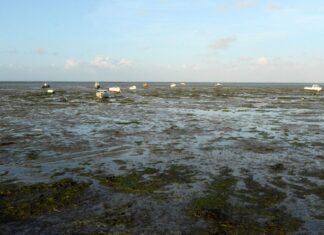 Остров Нуармутье (Noirmoutier) и Пассаж-дю-Гуа (Passage du Gois)