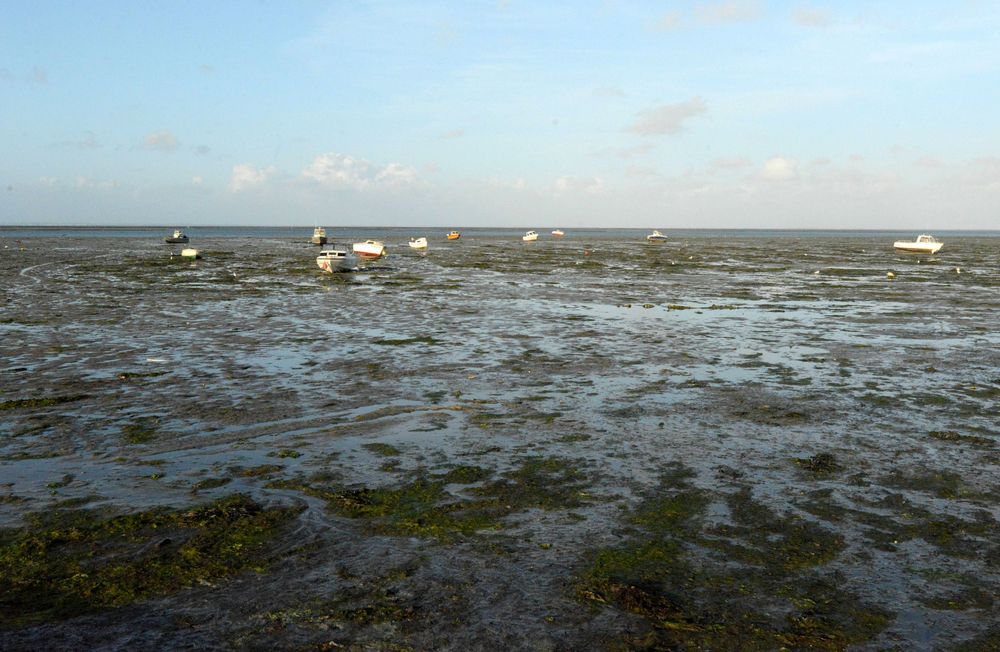 passage-du-gois