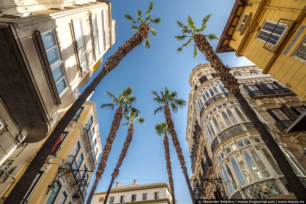 malaga