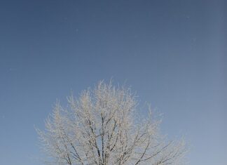 Фото природы