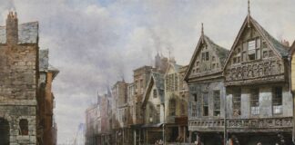Крысиные бойни
