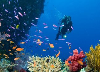 The best diving spots in Asia Diving