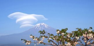 Fujiyama