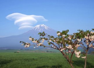 Fujiyama