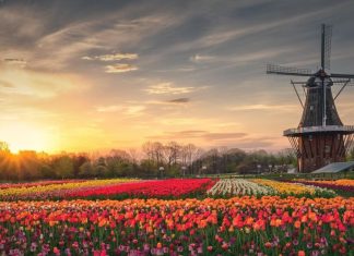 Holland