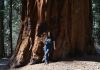 Sequoia National Park