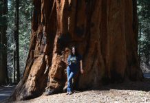 Sequoia National Park