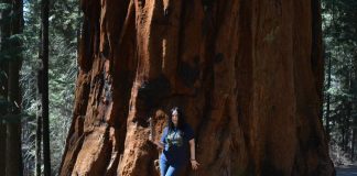 Sequoia National Park