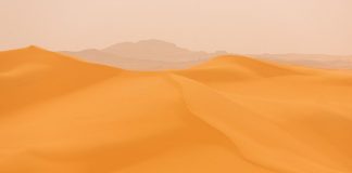 Sahara