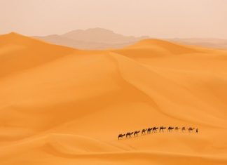 Sahara