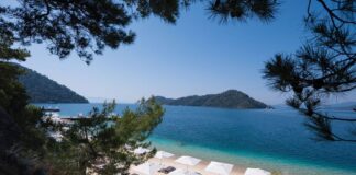 Turkey
