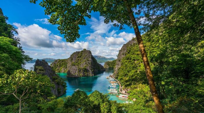 PALAWAN PALAWAN