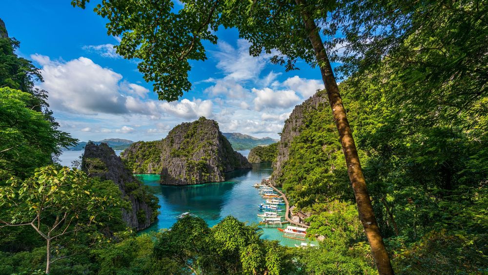 PALAWAN PALAWAN