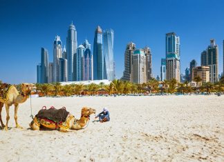 United Arab Emirates*