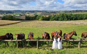 rural tourism