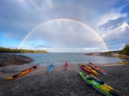 Kayak trips