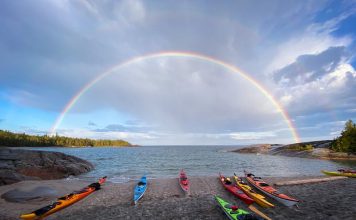 Kayak trips