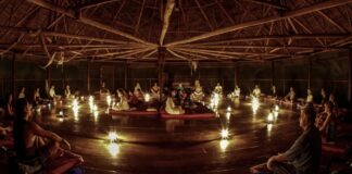 Discovering Ayahuasca in Peru: 5 Reasons Small Group Travel Enhances the Experience*