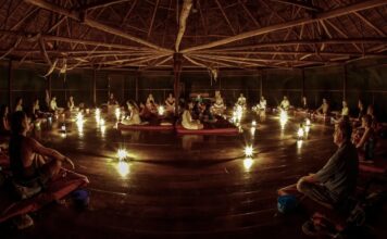 Discovering Ayahuasca in Peru: 5 Reasons Small Group Travel Enhances the Experience*