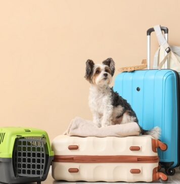 Traveling with a Pet*