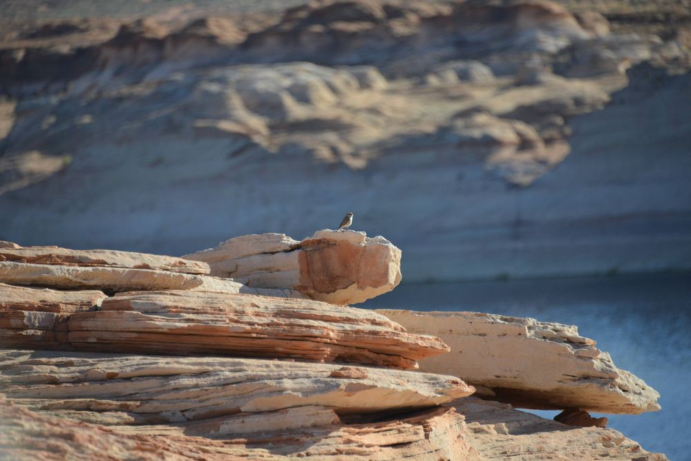 Lake Powell