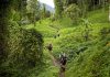 Kokoda Highway