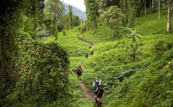 Kokoda Highway