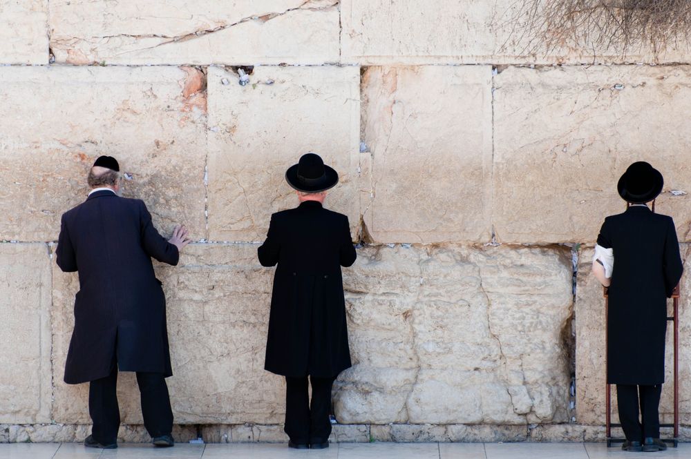Jews Jews