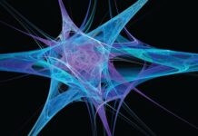 The program of the matrix of life at the atomic level