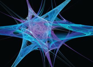 The program of the matrix of life at the atomic level