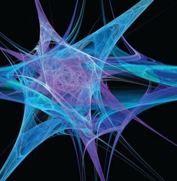 The program of the matrix of life at the atomic level